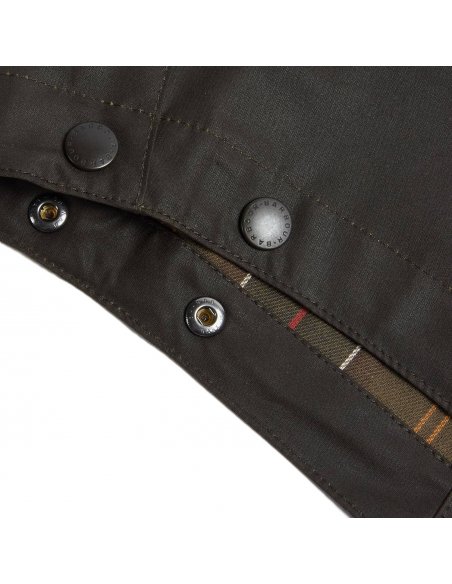 Cappuccio cerato Barbour